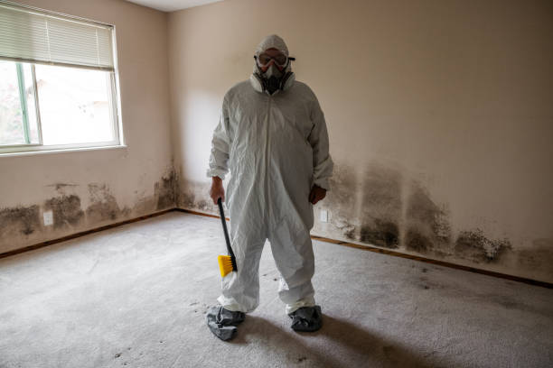 Best Mold Odor Removal Services  in Dry Run, OH